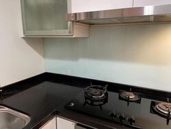 Parc Vista (D22), Condominium #623142791